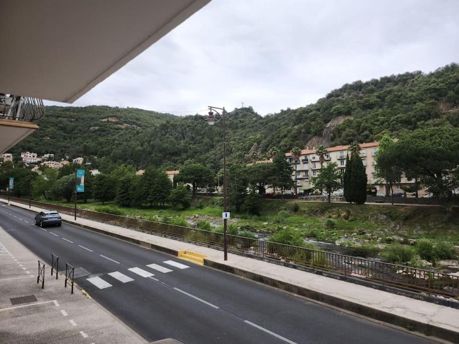 Residence Centrale Appartement 3 Pieces Garage Et Jardin Amelie-les-Bains-Palalda ภายนอก รูปภาพ