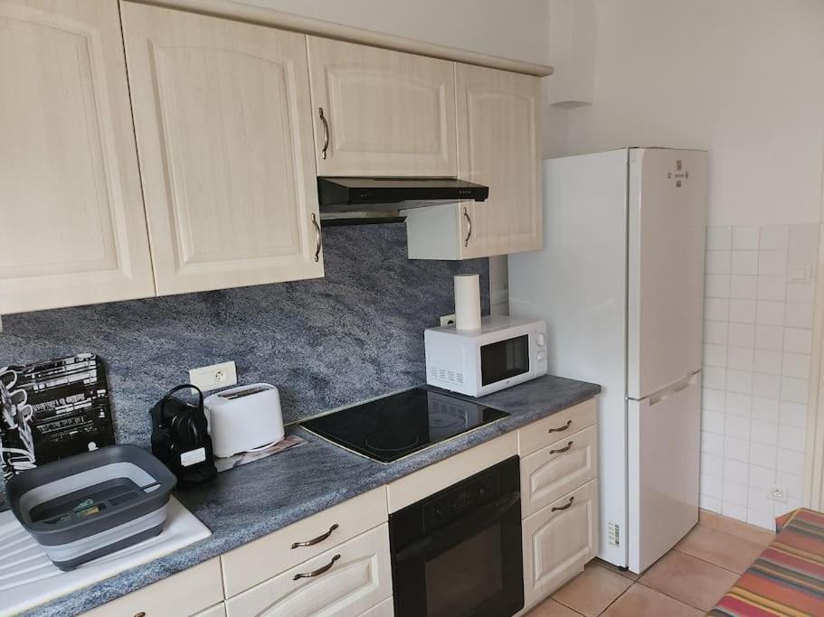 Residence Centrale Appartement 3 Pieces Garage Et Jardin Amelie-les-Bains-Palalda ภายนอก รูปภาพ